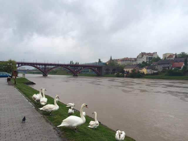 The river Drava is a central part of Maribor's landscape.